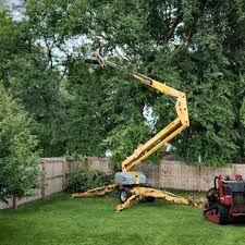 Best Tree Removal  in Strawberry, CA