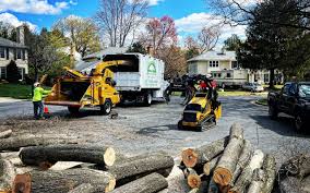 Best Tree Trimming and Pruning  in Strawberry, CA