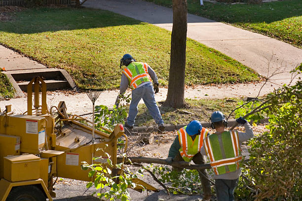 Best Commercial Tree Services  in Strawberry, CA